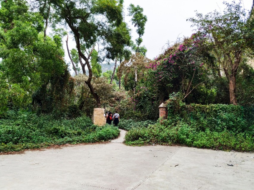 周日跟随珠海户外网板樟山游记