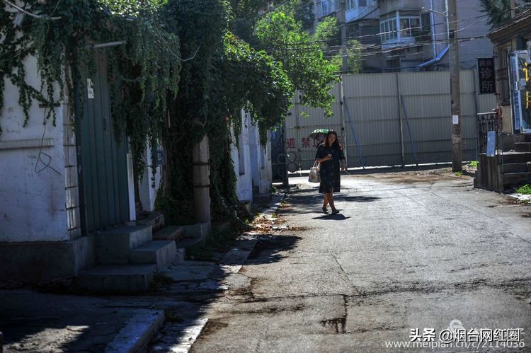 烟台所城里承载着多少回忆,烟台所城的来历