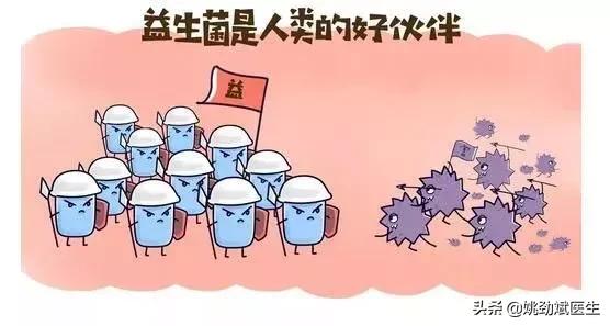 合生元益生菌功效,益生菌最佳用法用量