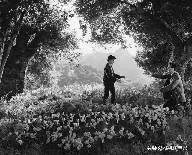 最值得看的100部电影,最值得一看100部电影