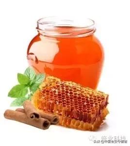 国产蜂蜜品牌检测指标有哪些,国内外蜂蜜标准对比分析