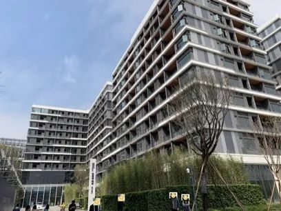 万字长文100条,粤港澳大湾区蓝皮书电子版