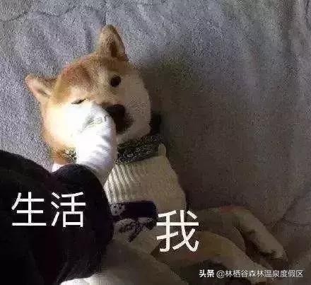 微商健步如飞至今下落不明的段子,朋友圈微商的段子精选