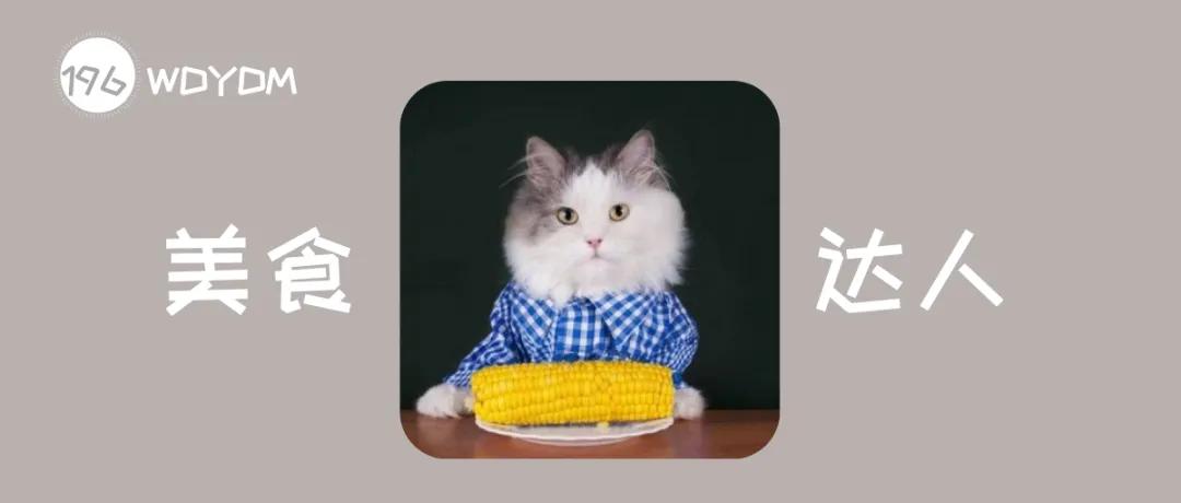 为什么猫咪挑食什么都不吃,为什么有的猫咪什么都吃