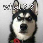 斜杠青年兼职,兼职都是廉价劳动力吗