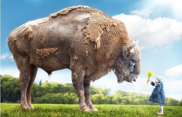 平面设计:怎样快速熟练修图技能?送你200集PS自学教程