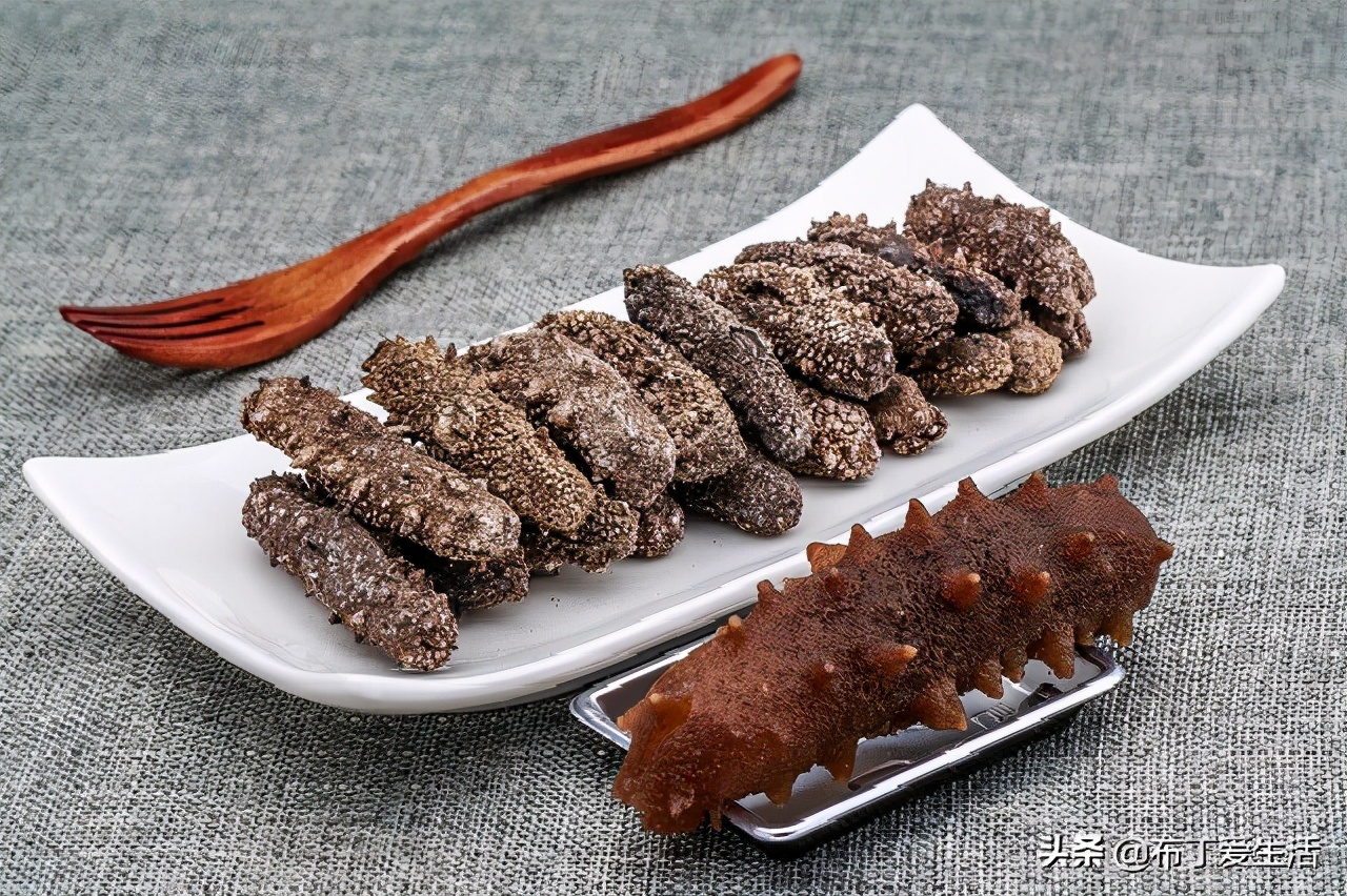 自己发海参的正确方法,海参的正确发制方法建议收藏