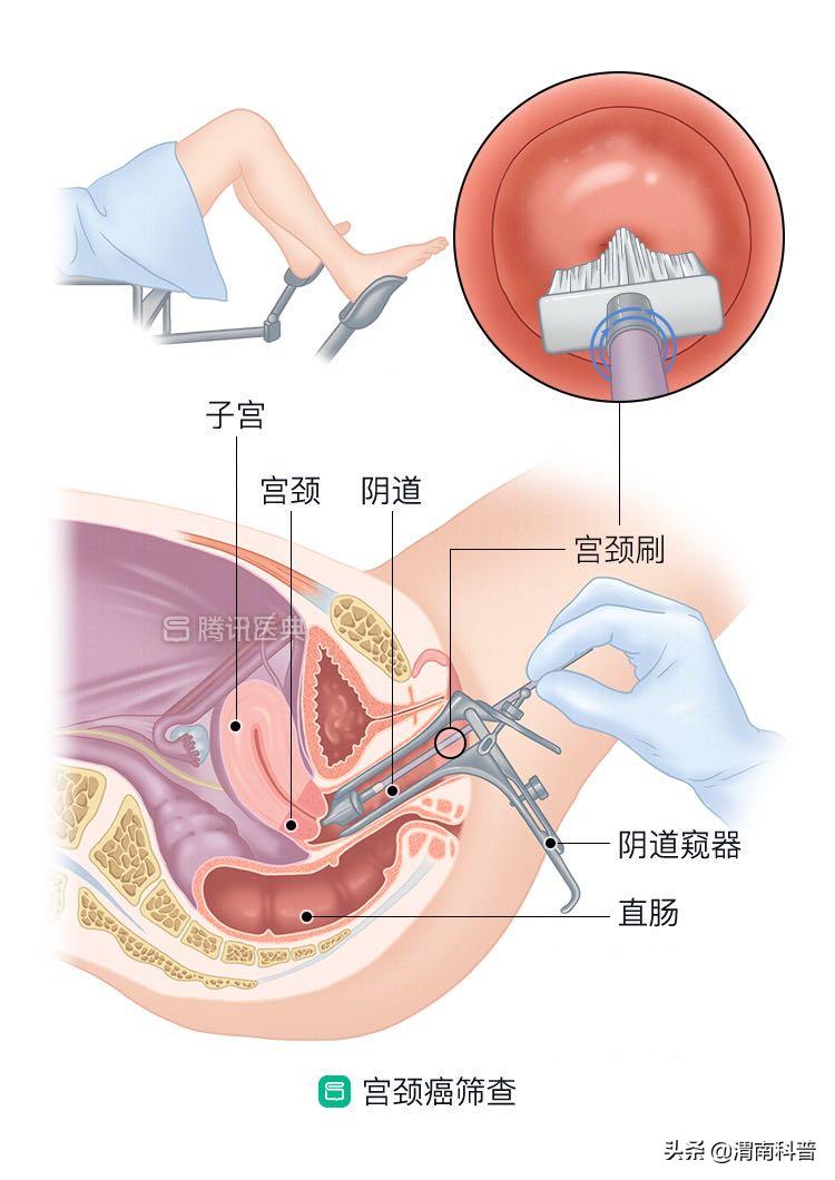 孟医生的故事,孟医生视频完整版