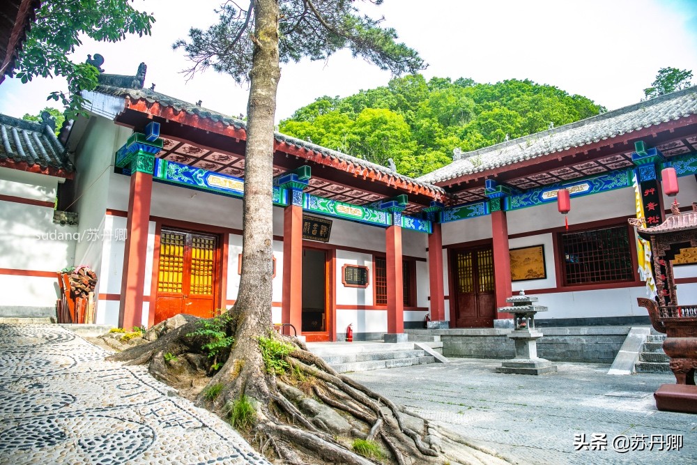 最美神都洛阳,古都洛阳一道靓丽的优美风景线