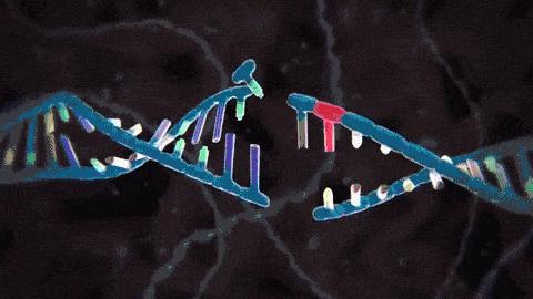 哪些高血压药有致癌可能,高血压致癌药有哪些