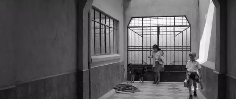 奥斯卡评选20世纪100部电影,奥斯卡10个奖项