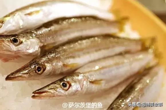 各种寿司纯鲜三文鱼刺身,日本传统寿司都用什么鱼