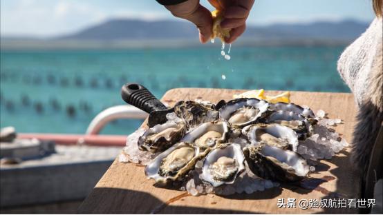 去南澳州旅游怎么样,去南澳旅游要不要做攻略