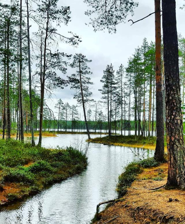 世界上最好玩的露营地点,全国最棒露营地