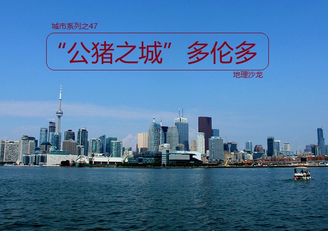 多伦多为什么是公猪之城,多伦多为什么叫公猪之城