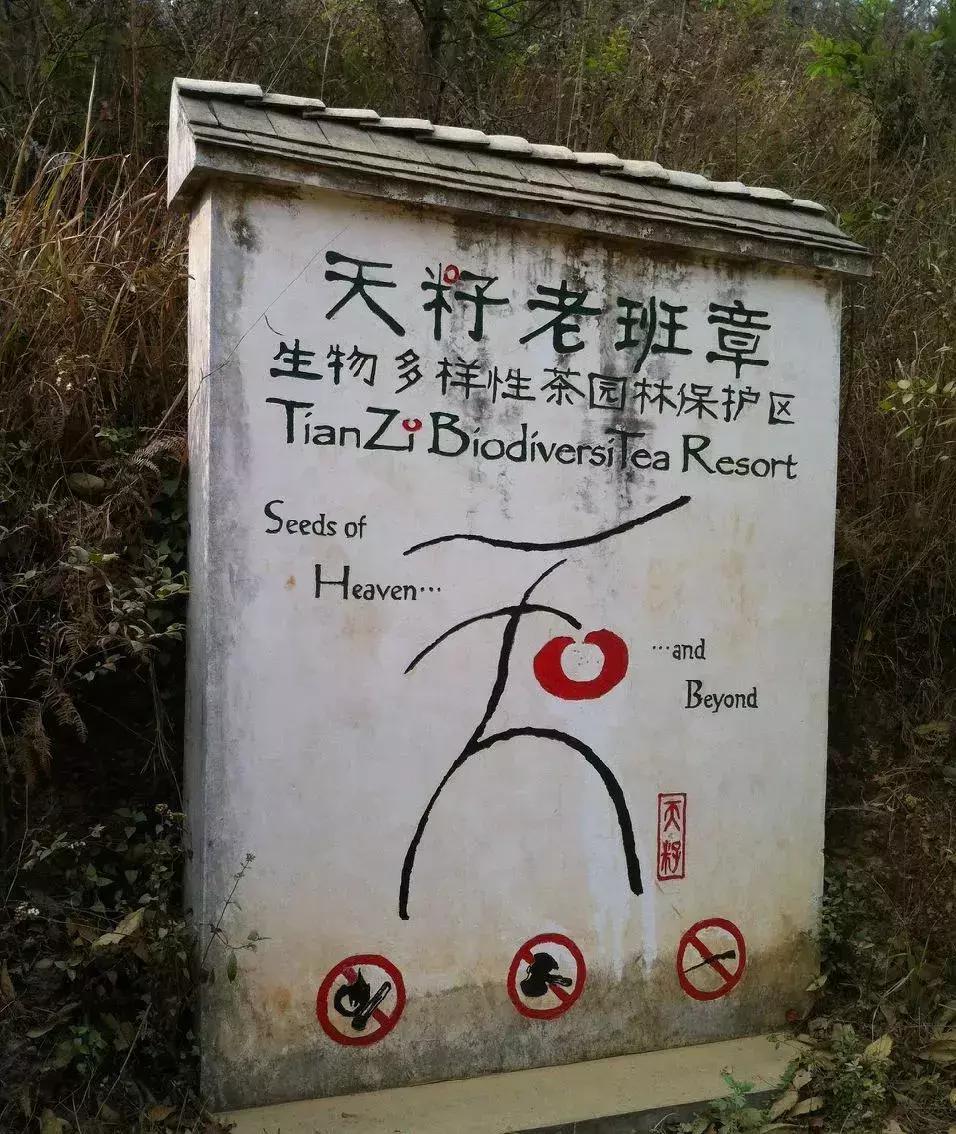 传销和P2P好躲，卖茶小妹难防！