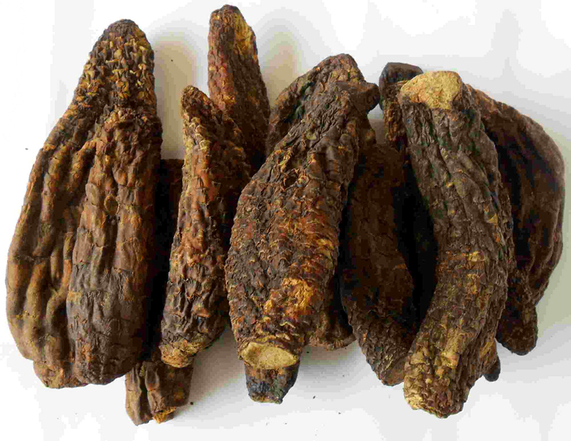 肉苁蓉补肾阴虚还是肾阳虚,肉苁蓉补阴虚