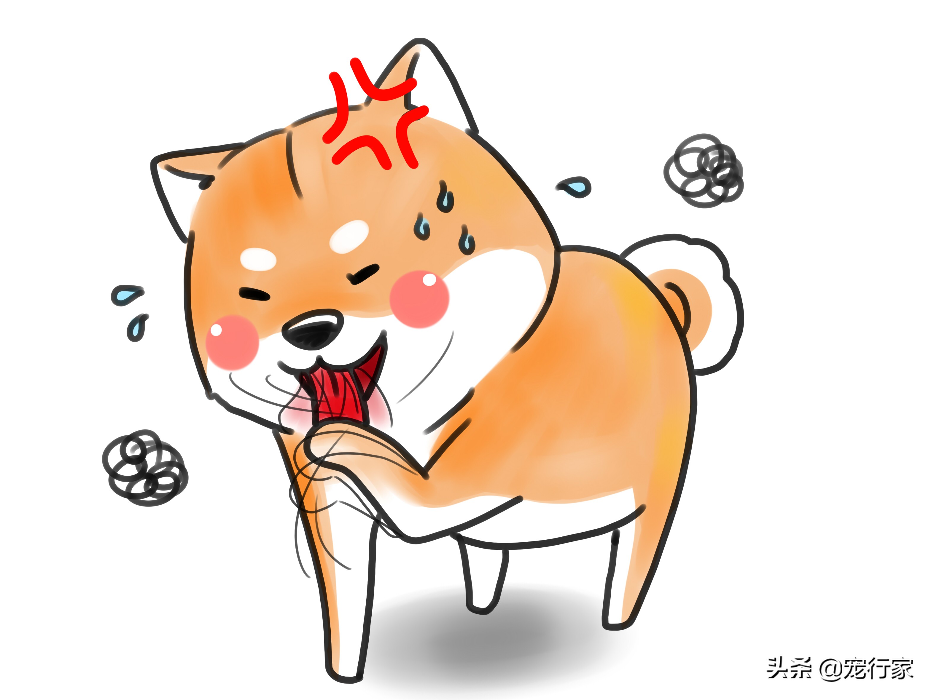 狗狗爪子出血抹什么药膏,狗狗爪子缝里发红怎么办