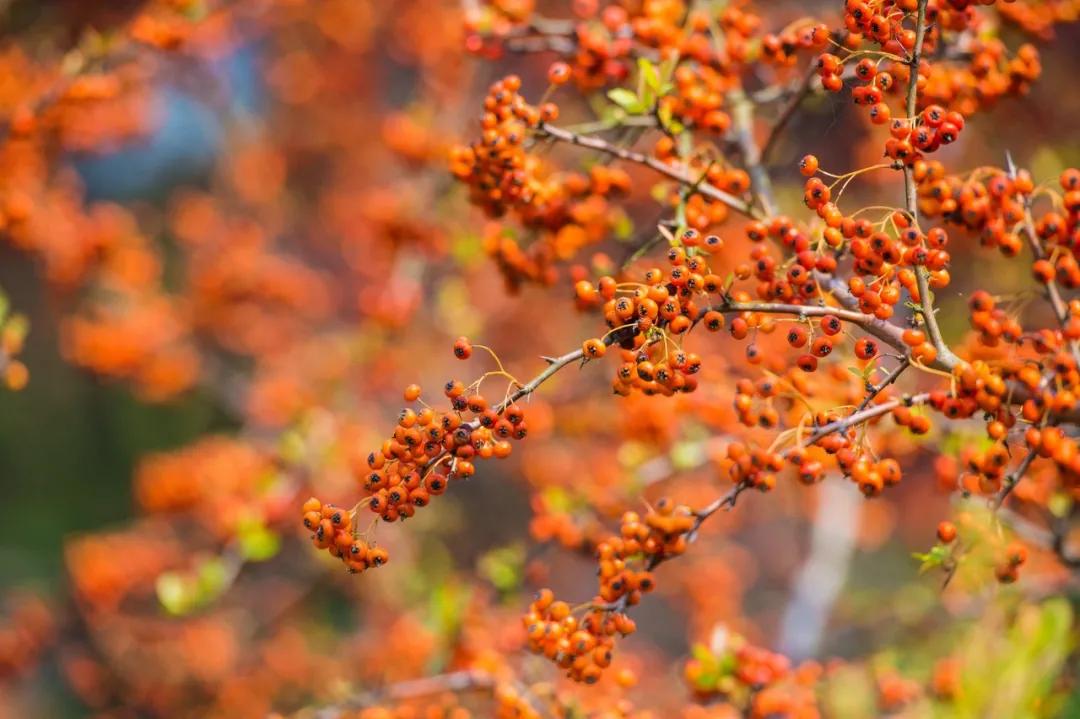 个案研习社|湿疹瘙痒难耐，“对症下药”是关键
