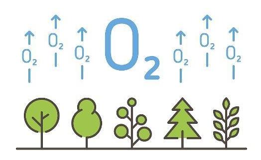 氧气是遏制生命的罪魁祸首,氧气是生命的必需品