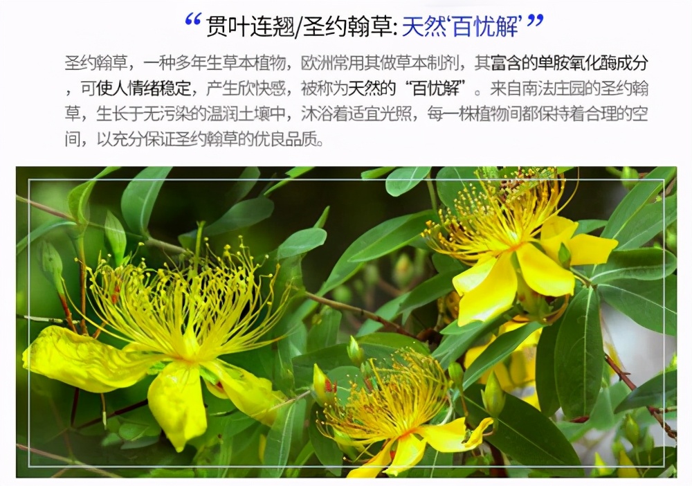 靶向药与这些药物是天敌。共同服用等于白吃、浪费钱，还有危险