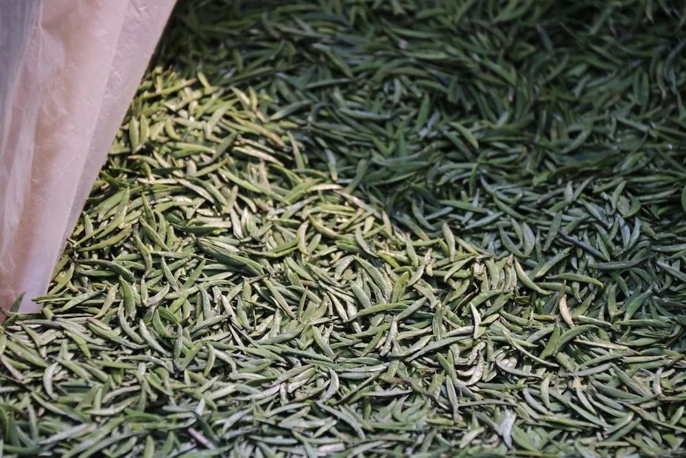 早上6点，去蒙顶山买茶是一种什么体验？