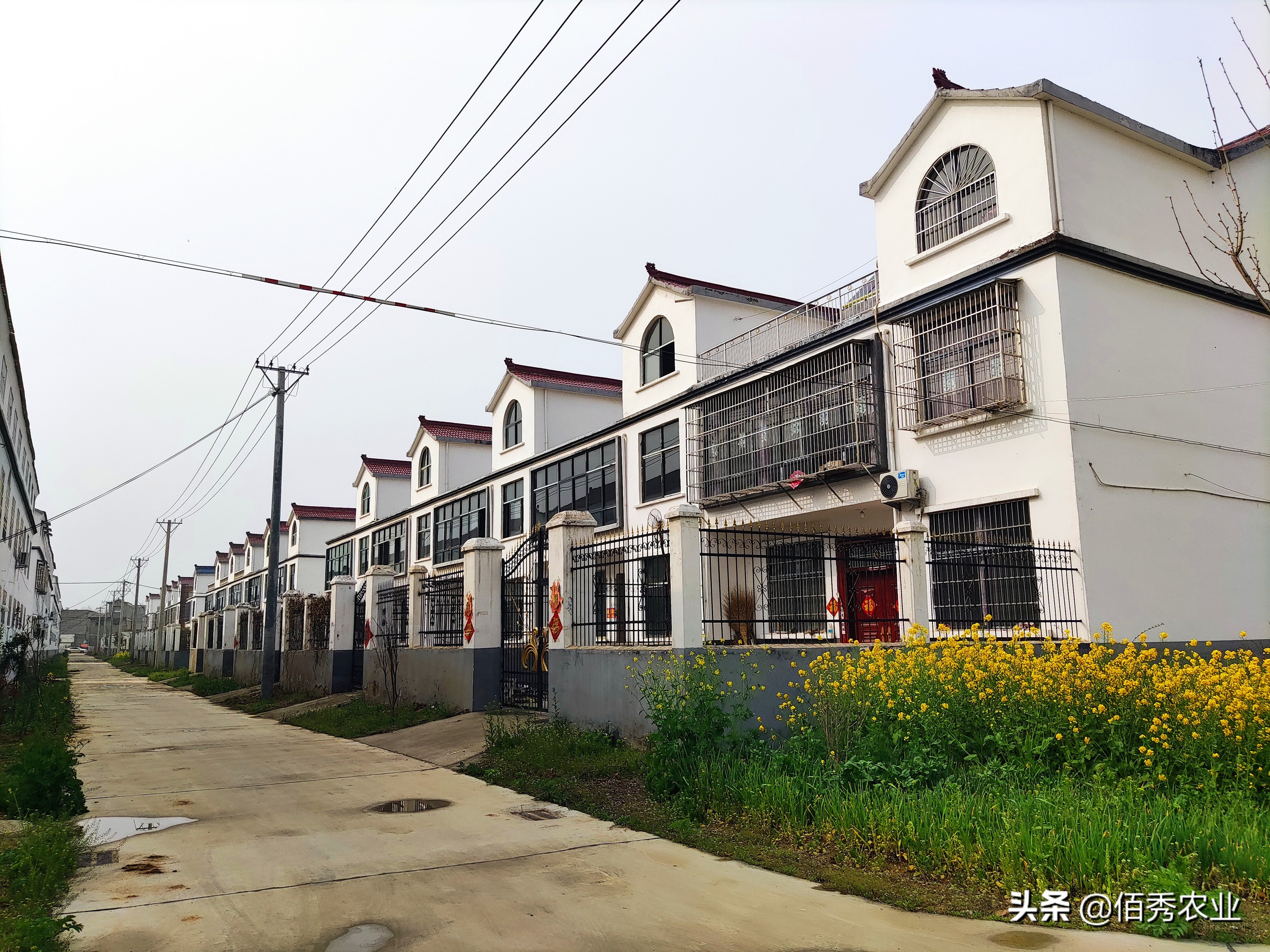 乡村农资店，化肥送到地头，还请客吃饭送礼品，利润到底有多大