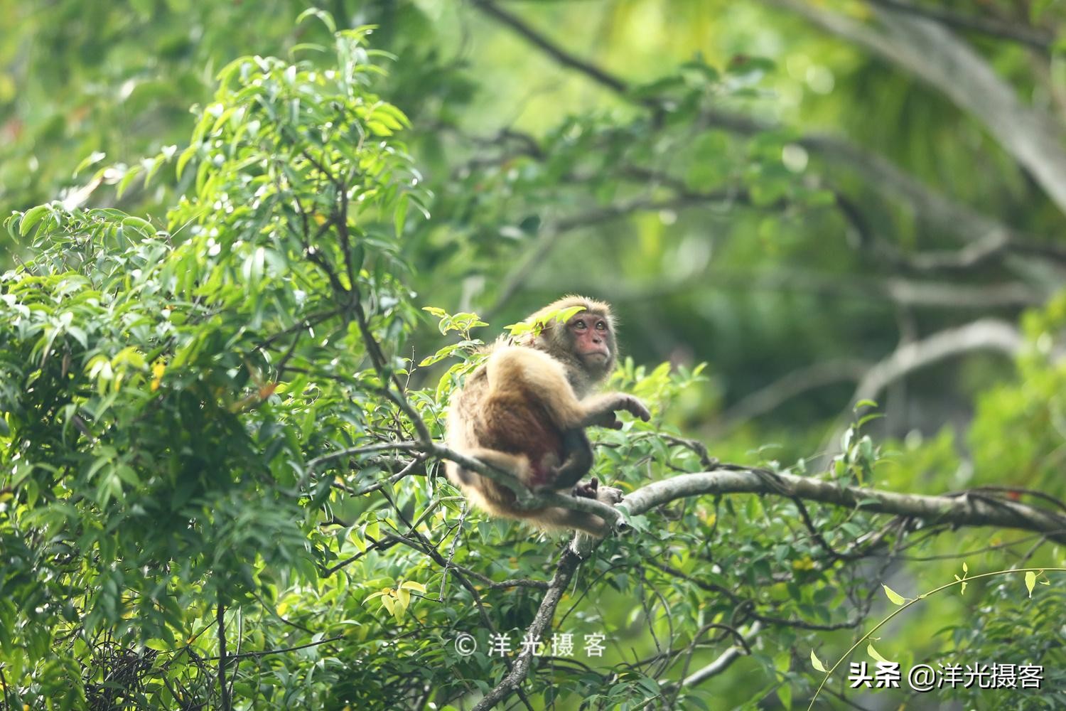 越南攻略下龙湾,越南下龙湾和桂林哪个好