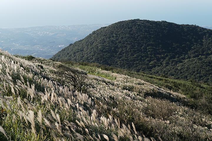 反璞归真2.0,反璞归真005