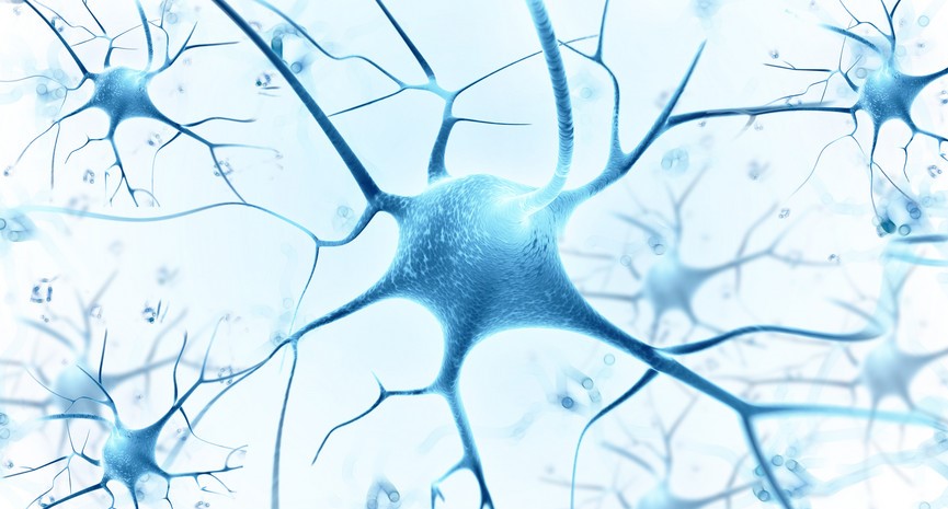 间充质干细胞能治疗一型糖尿病吗,间充质干细胞治疗一型糖尿病