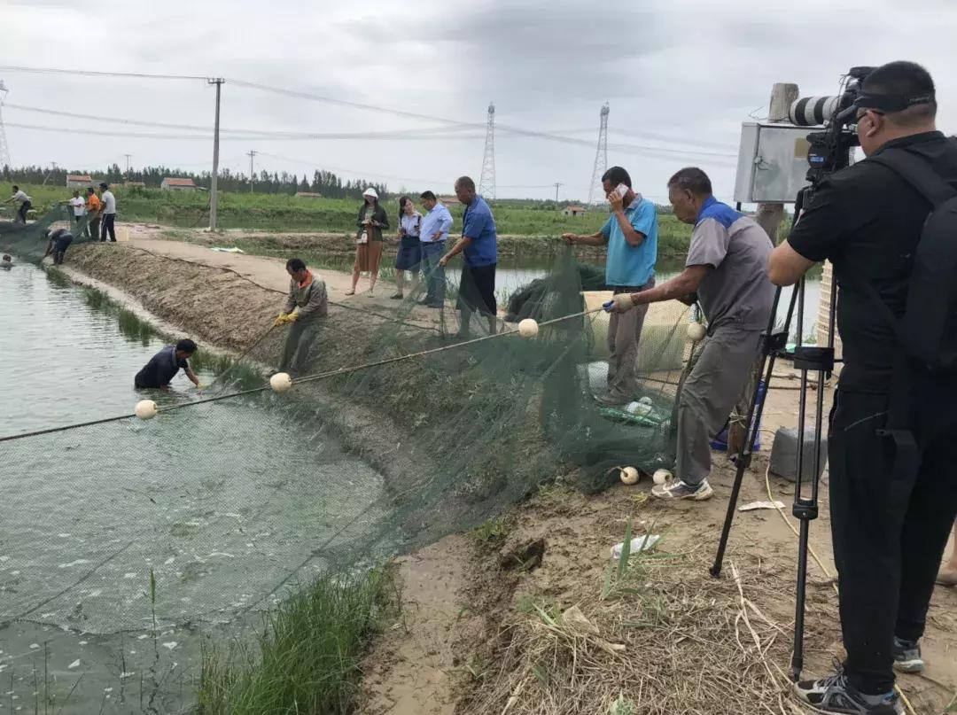 厉害！这个百万养虾大户，被评为全县淡水养殖状元！