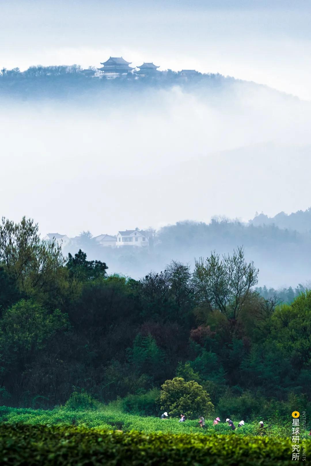 南京高淳哪个区发展最好,南京高淳值得去的风景区免费