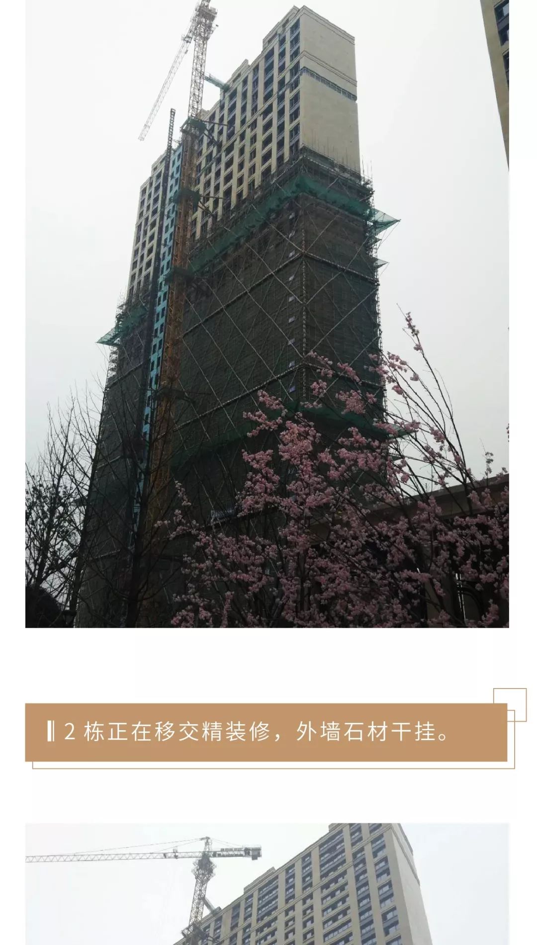 河西中房价历年走势,河西中次新豪宅