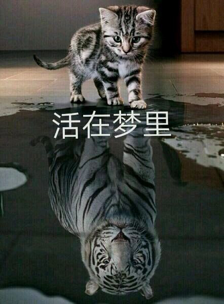 中国玩家在游戏里赚钱,玩家在游戏里赚钱