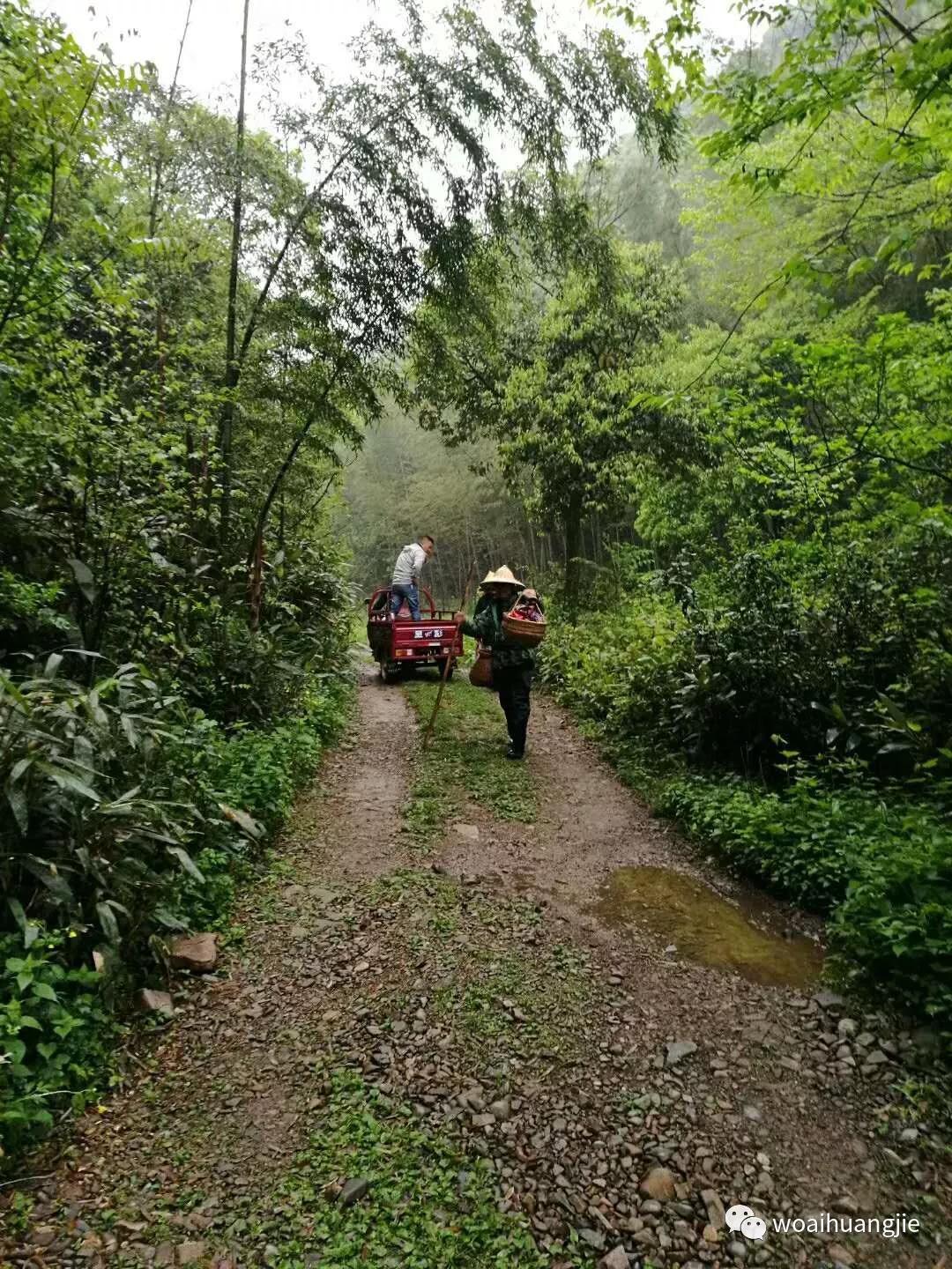 泾县哪些地方值得去,泾县值得去吗