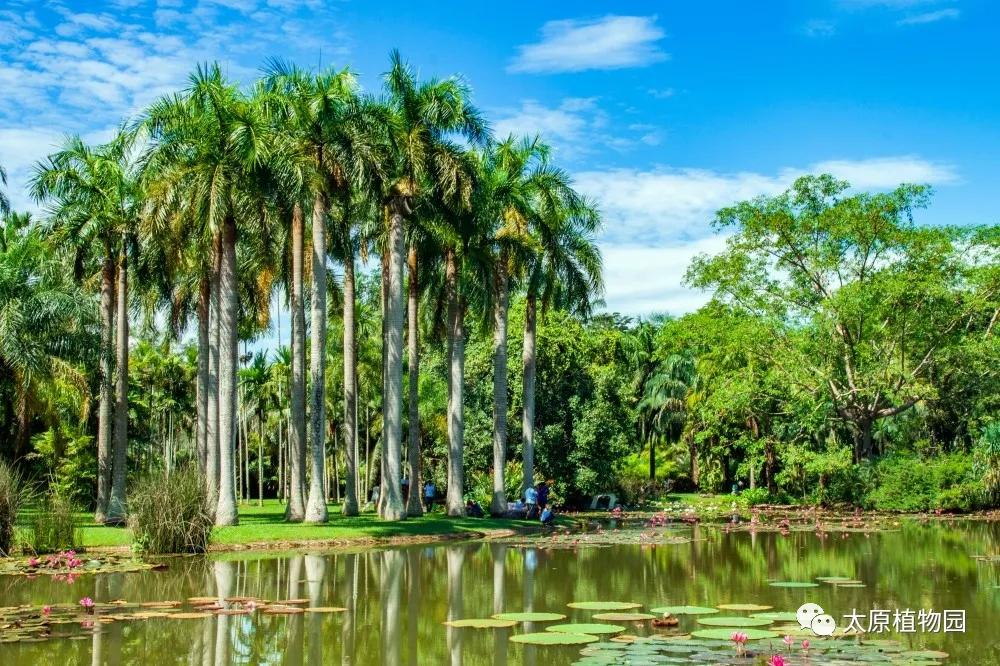 国庆黄金周｜开启植物园奇趣畅游之旅
