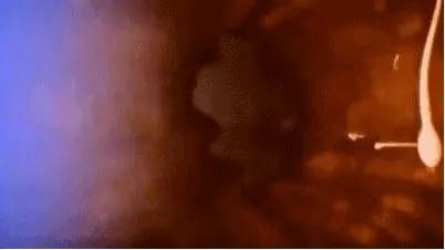 18张动图揭秘，你不是游得最快的那一个精子