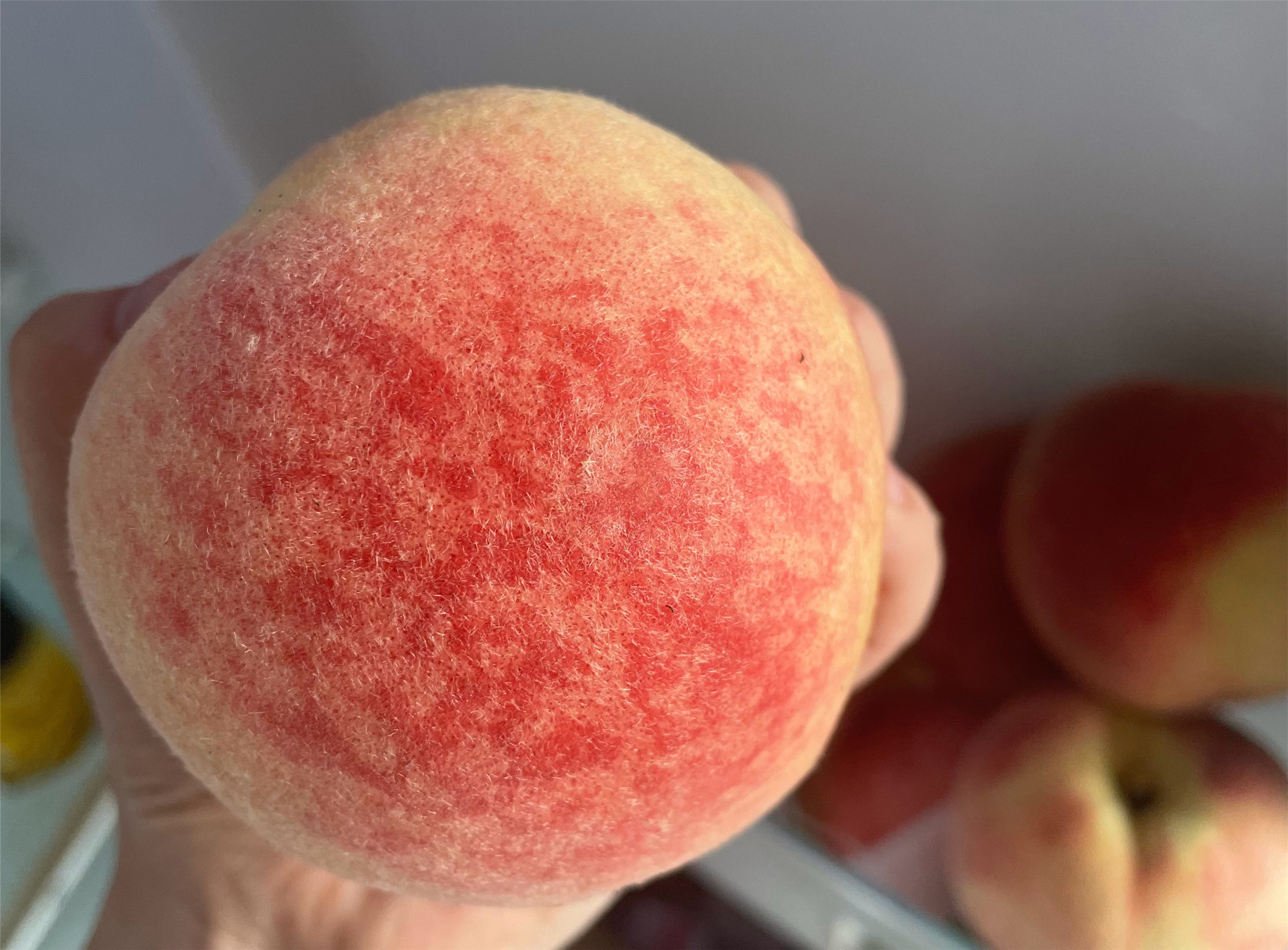 怎么区分黄桃和普通桃子,桃子怎么挑才是最甜的桃