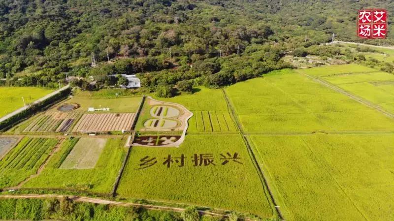 广州从化赛马会,广州从化站赛马会