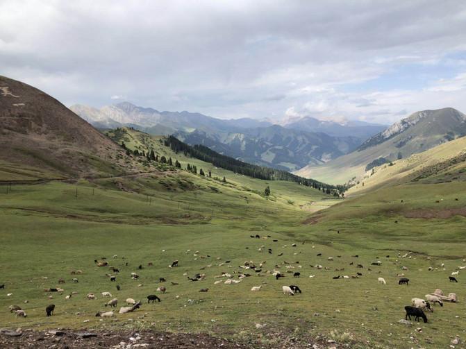 一家四口暑假日常之去游乐场,四川亲子游5日游8月游记