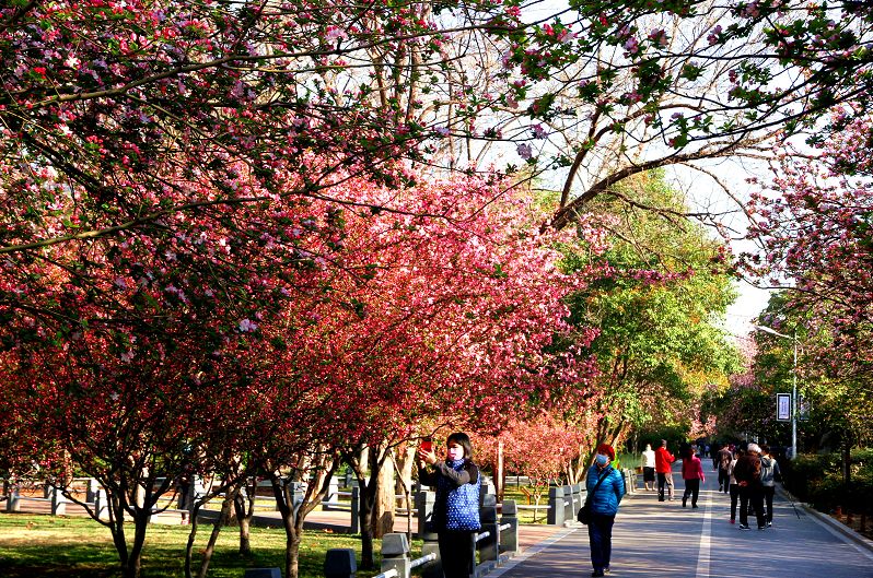 看看郑州的博物馆,郑州博物馆旅游