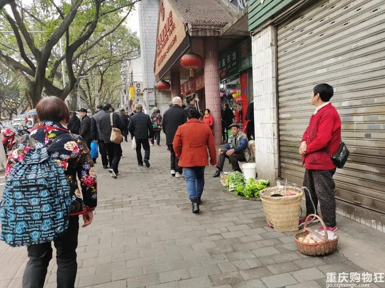 渝北区狗儿市场有卖猫的吗,渝北狗儿市场买狗