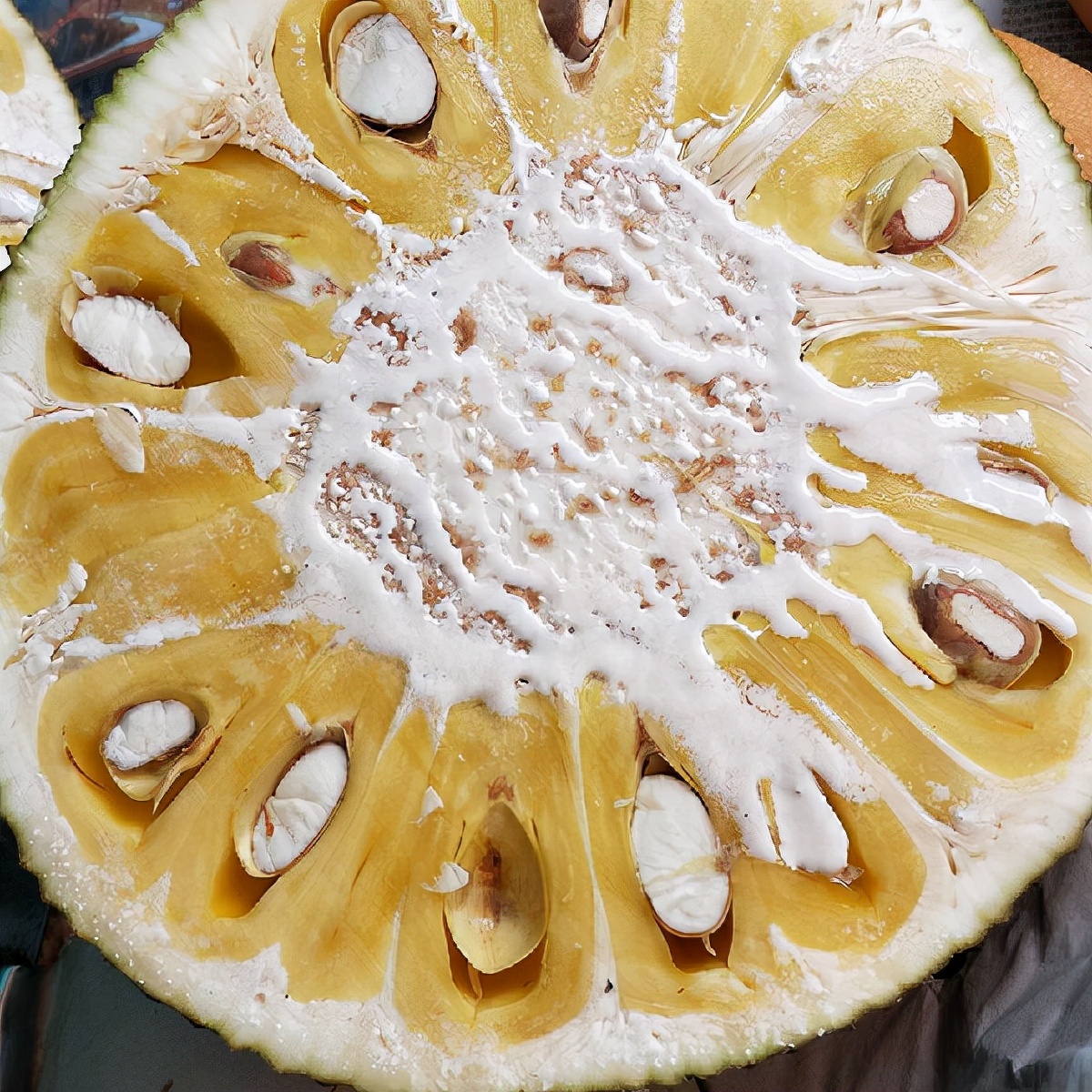 你不知道的菠萝蜜图片,菠萝蜜你不知道的秘密