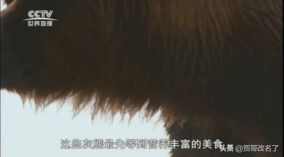 涓暟浼犲獟鏈夐檺鍏徃瑙嗛,涓暟浼犲獟棰戦亾