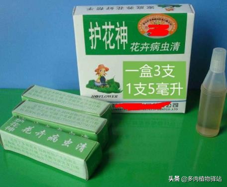 多肉上长白色的虫子怎么去除,多肉上白色虫子怎样去除