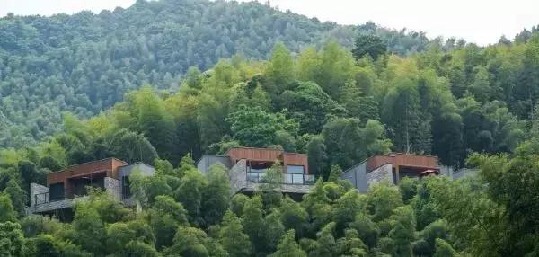 宁海安岚度假酒店,宁海安岚最美的酒店