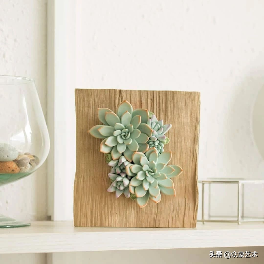 多肉软陶制作,多肉软陶制作方法