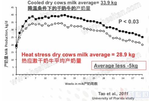 以色列实战经验:热应激管理4大关键点夏季疾病防控