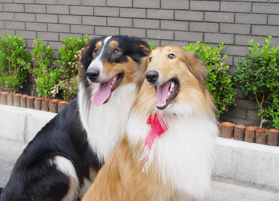 刘亦菲影视精彩片段,刘亦菲古装伤感影视