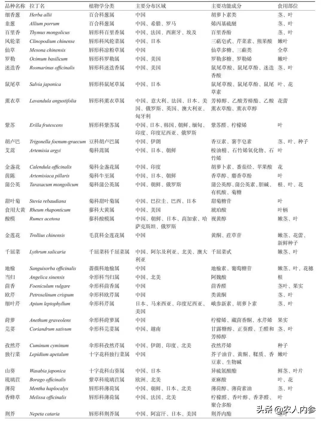 香草类蔬菜功能成分及综合利用研究进展